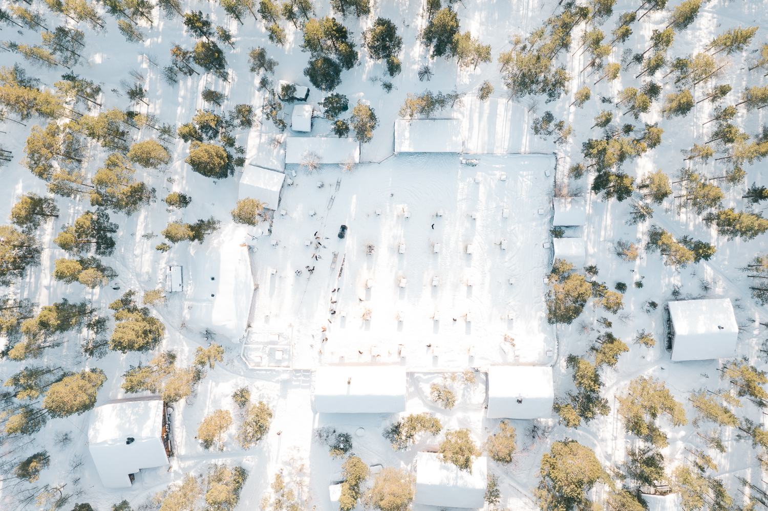 Aerial view of the lodge buildings among snow-covered pines