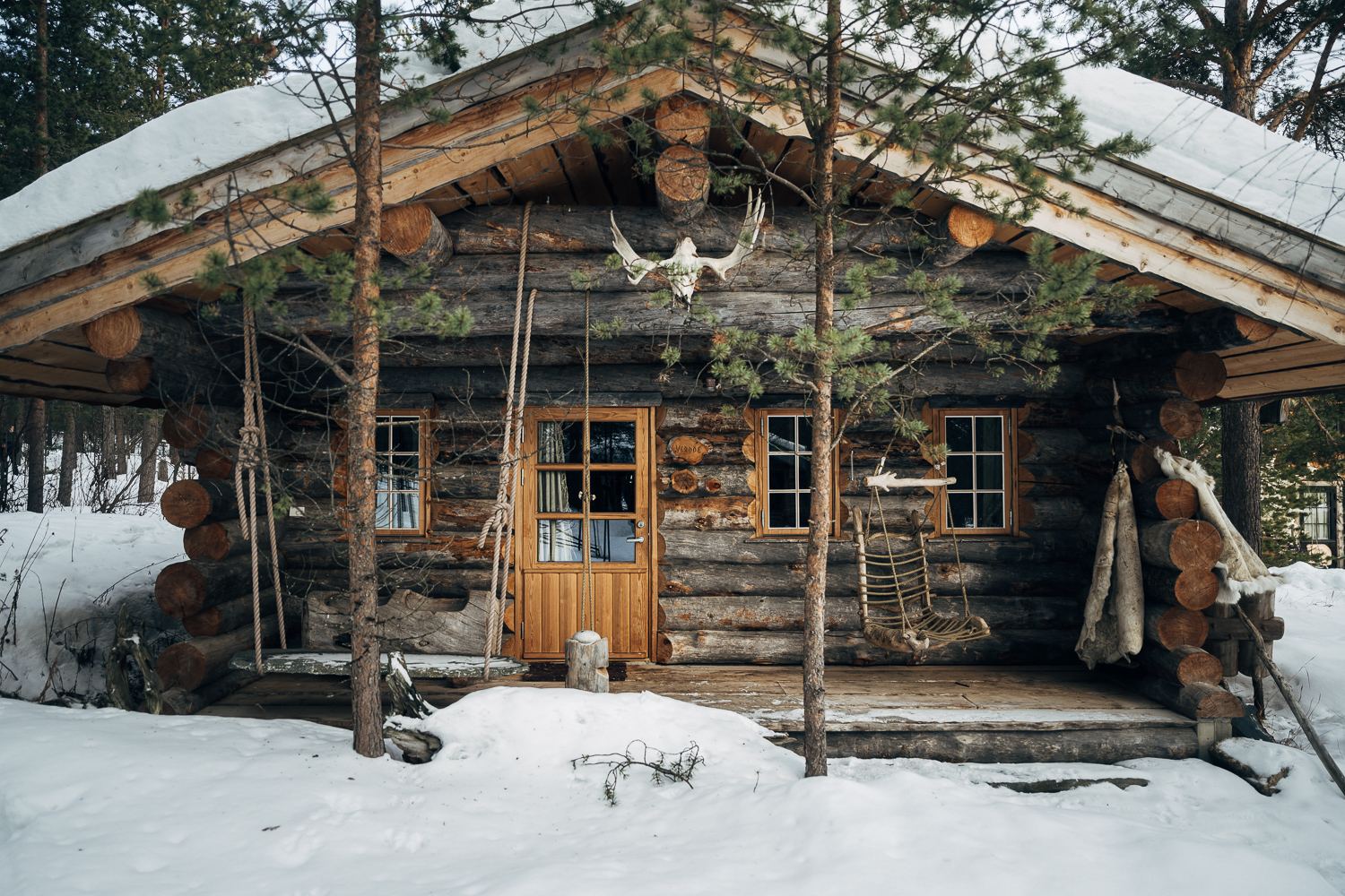 A log cabin among pines, an antlered skull under the gable