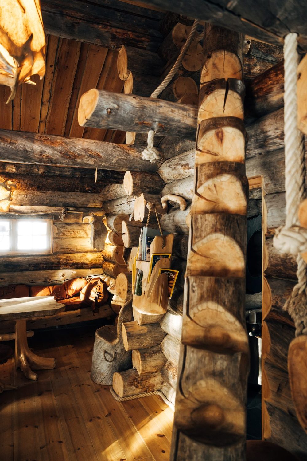 The bunks with a birch ladder, sunlight on the logs