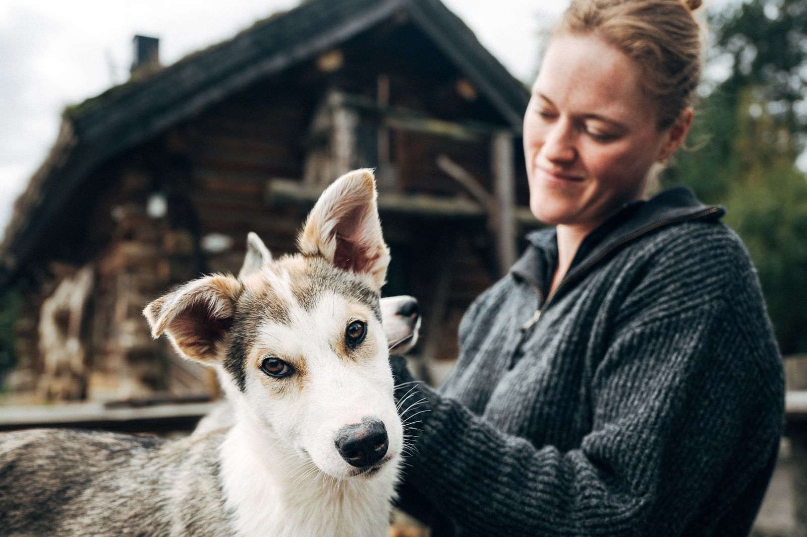 A husky puppy on a bench in the dog yard, a woman in a knitted jumper behind it, the lodge in the background