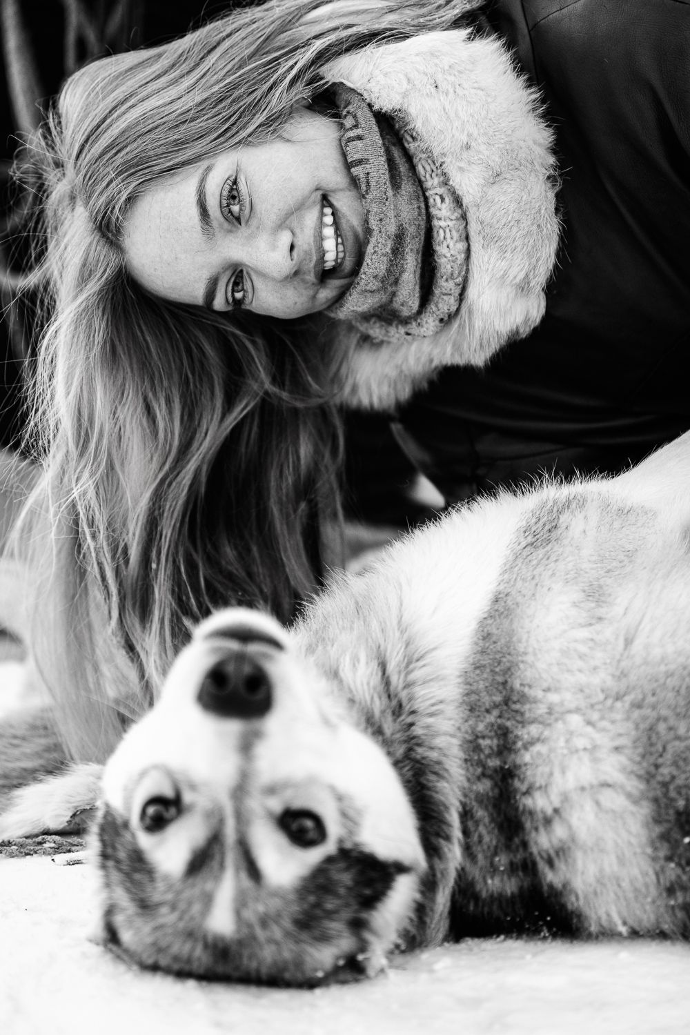 A laughing woman in a fur collar bending over a husky rolling on its back in the snow, black and white