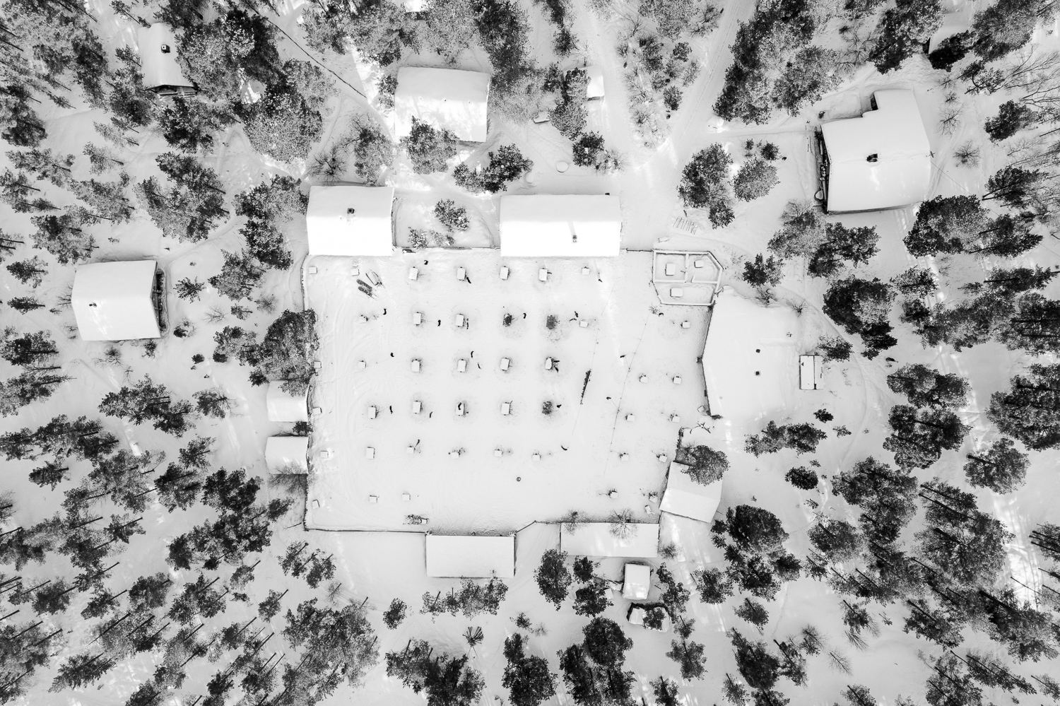 The dog yard from directly above, a house and a husky at every post