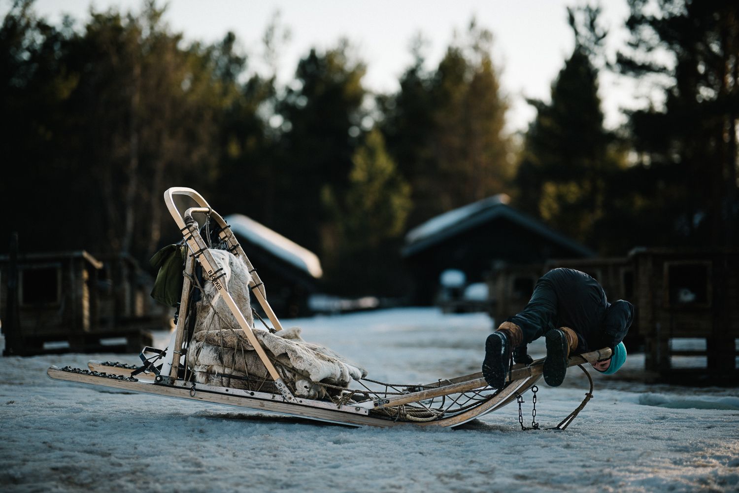 The guide's sled lined with reindeer skins, standing ready on the snow