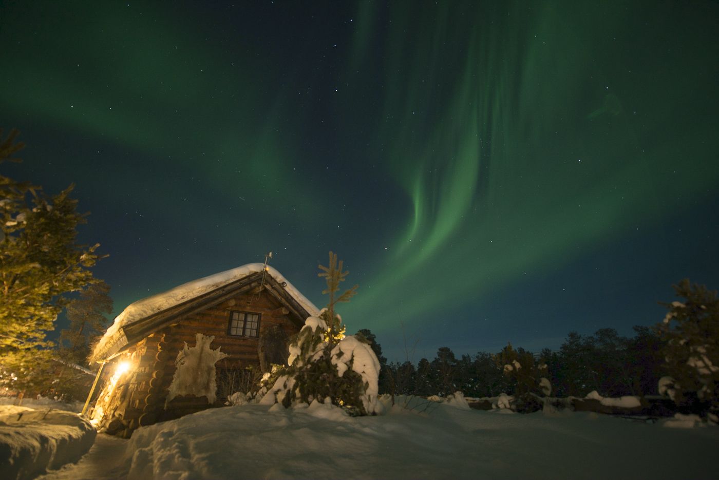 EngholmHusky-Northernlight-0716