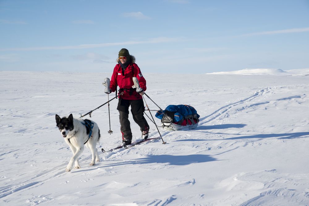 Ski expedition on the Finnmark plateau
