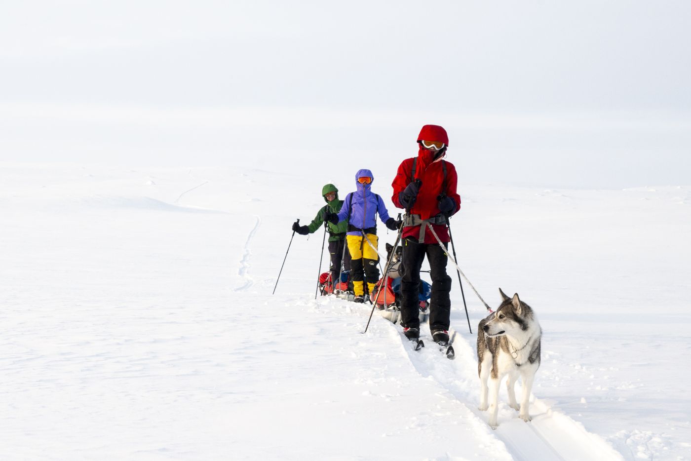 Ski expedition on the Finnmark plateau