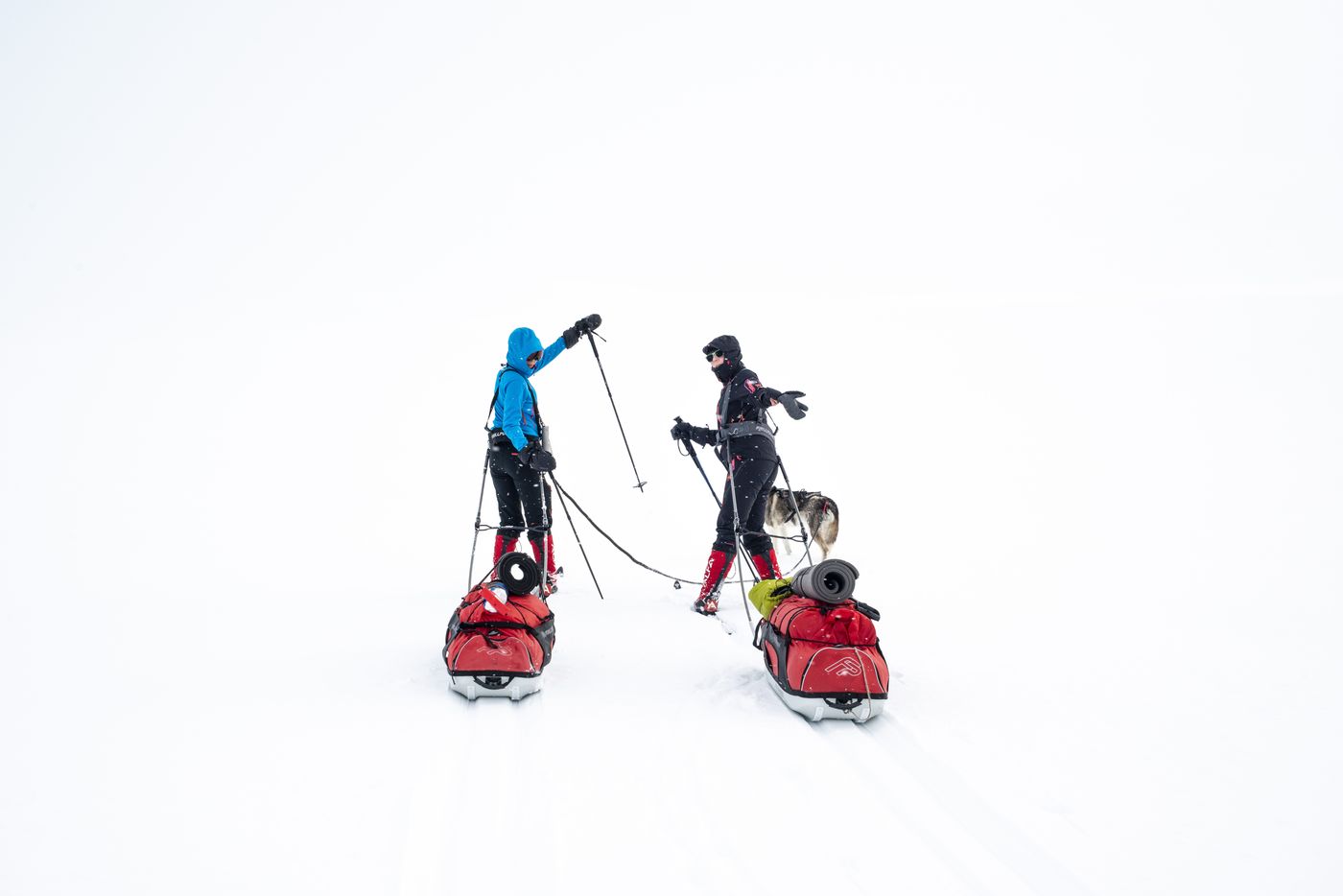 Ski expedition on the Finnmark plateau