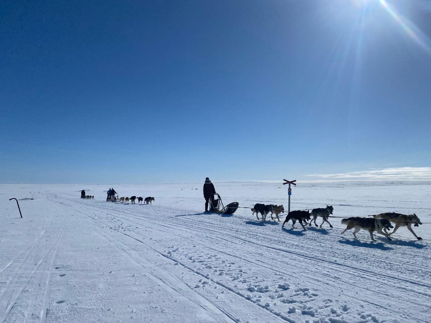 A dog team on the Finnmark plateau