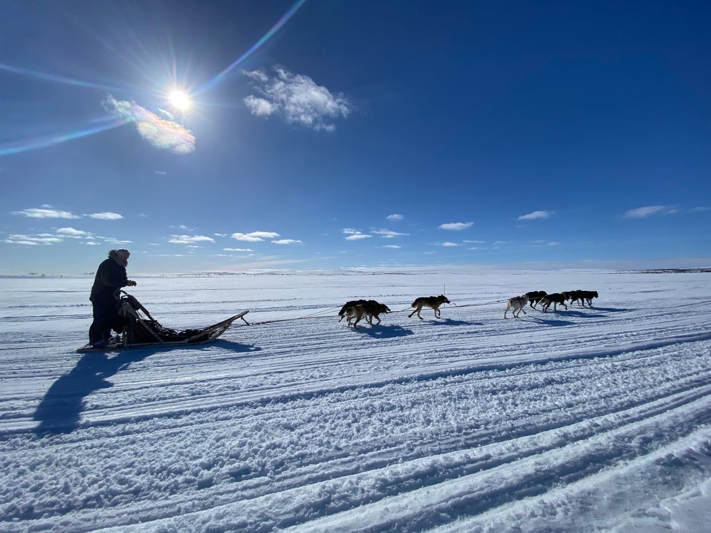 A dog team on the Finnmark plateau
