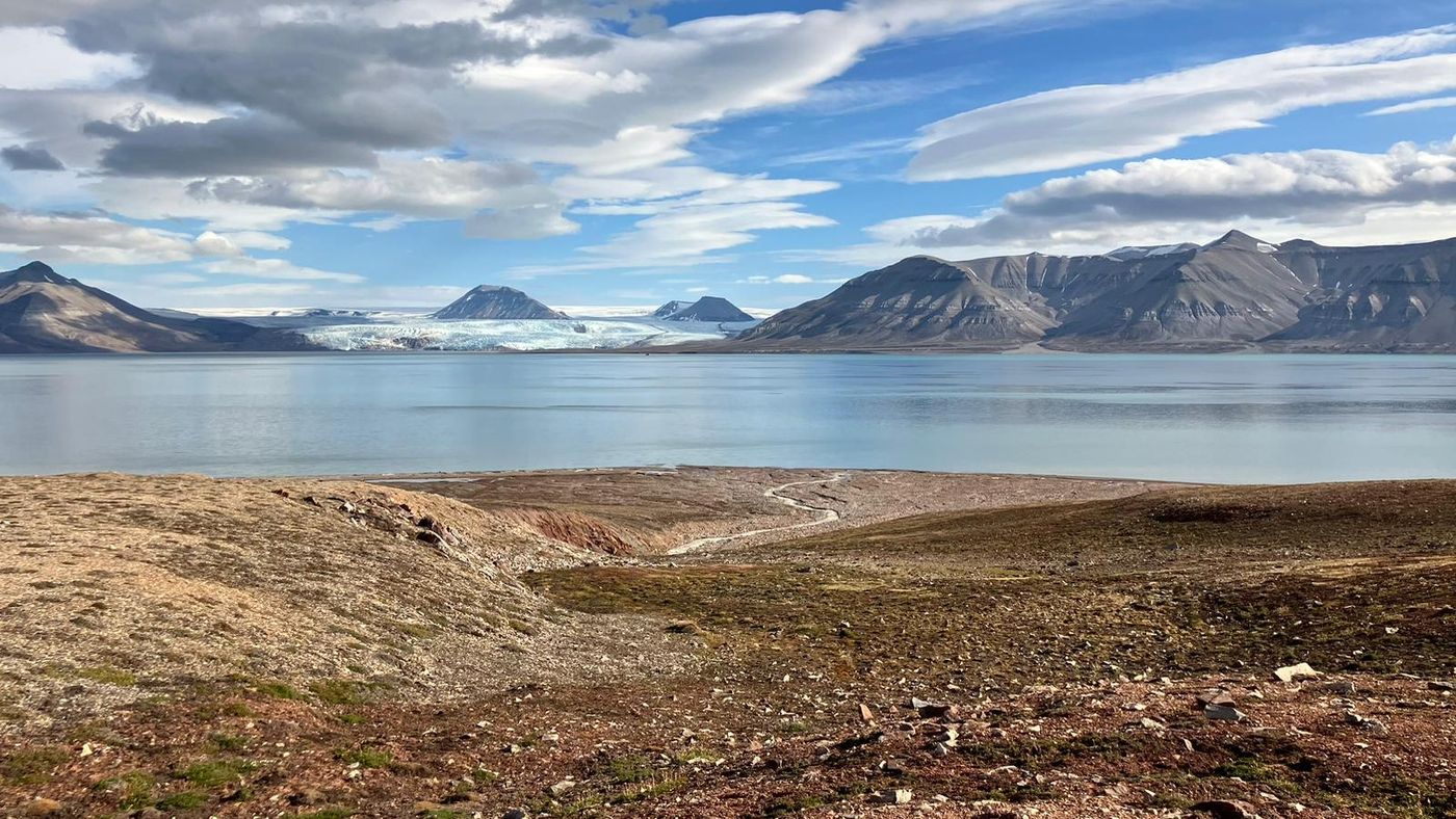 Adolfbukta with great Nordenski├╢ldbreen glacier in the back