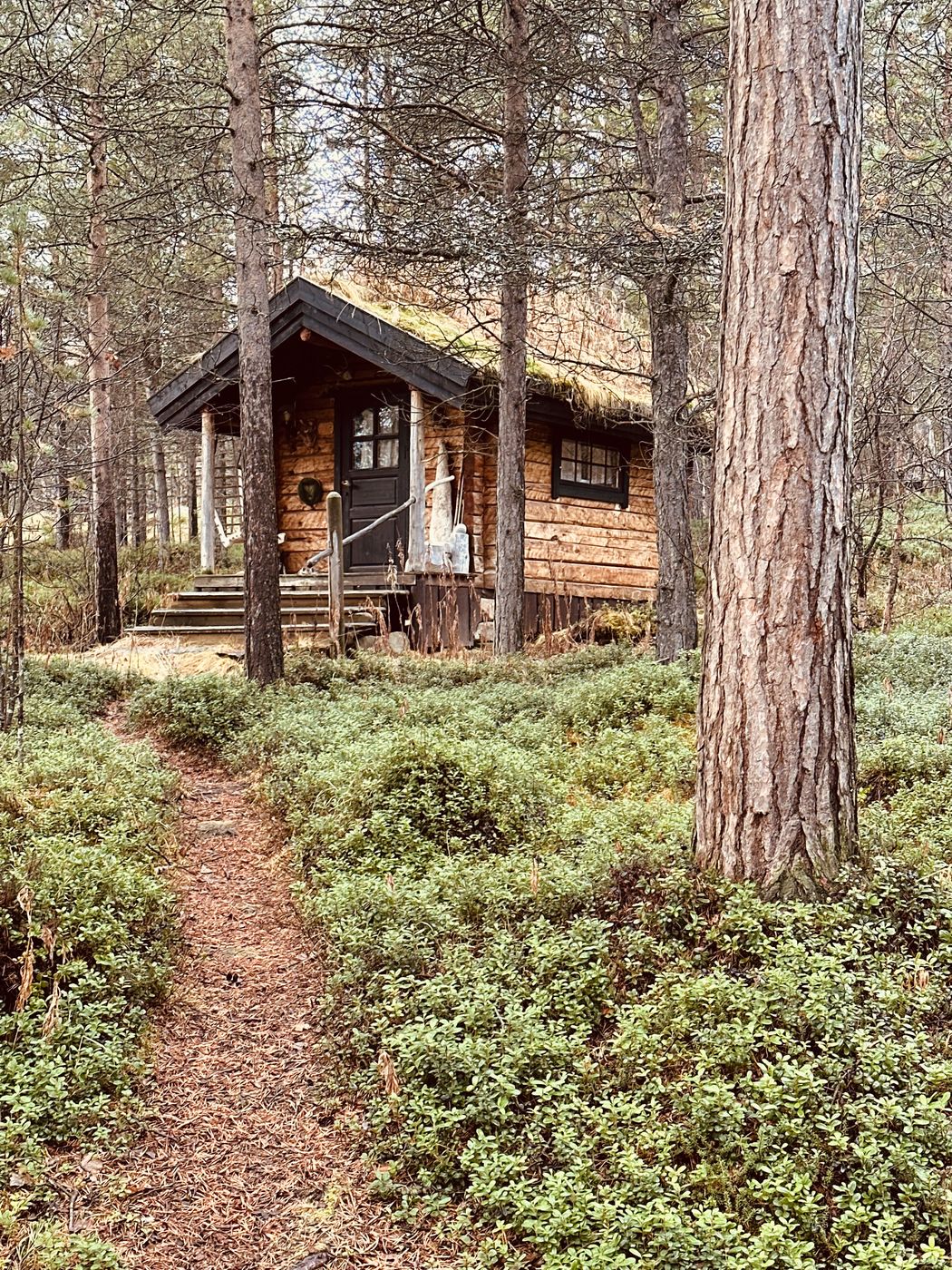 Engholm Lodge