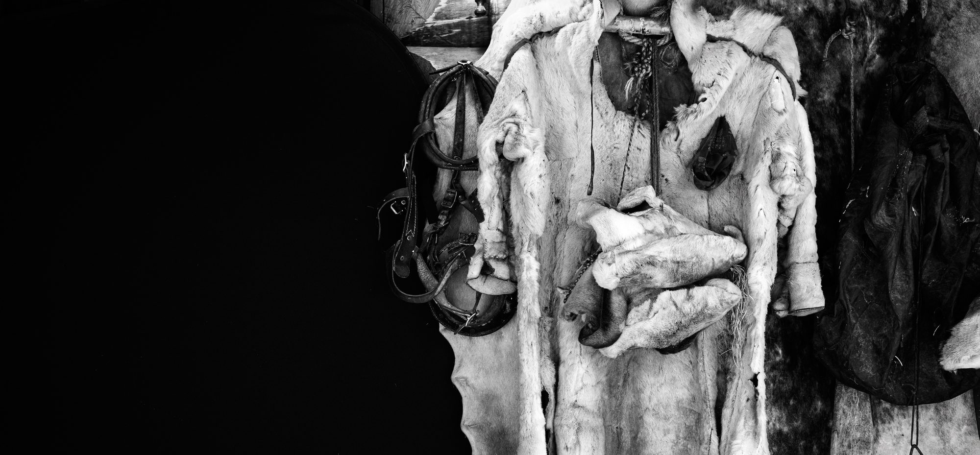 Harnesses, hides and fur hoods hanging on the dark wall of the workshop, in black and white