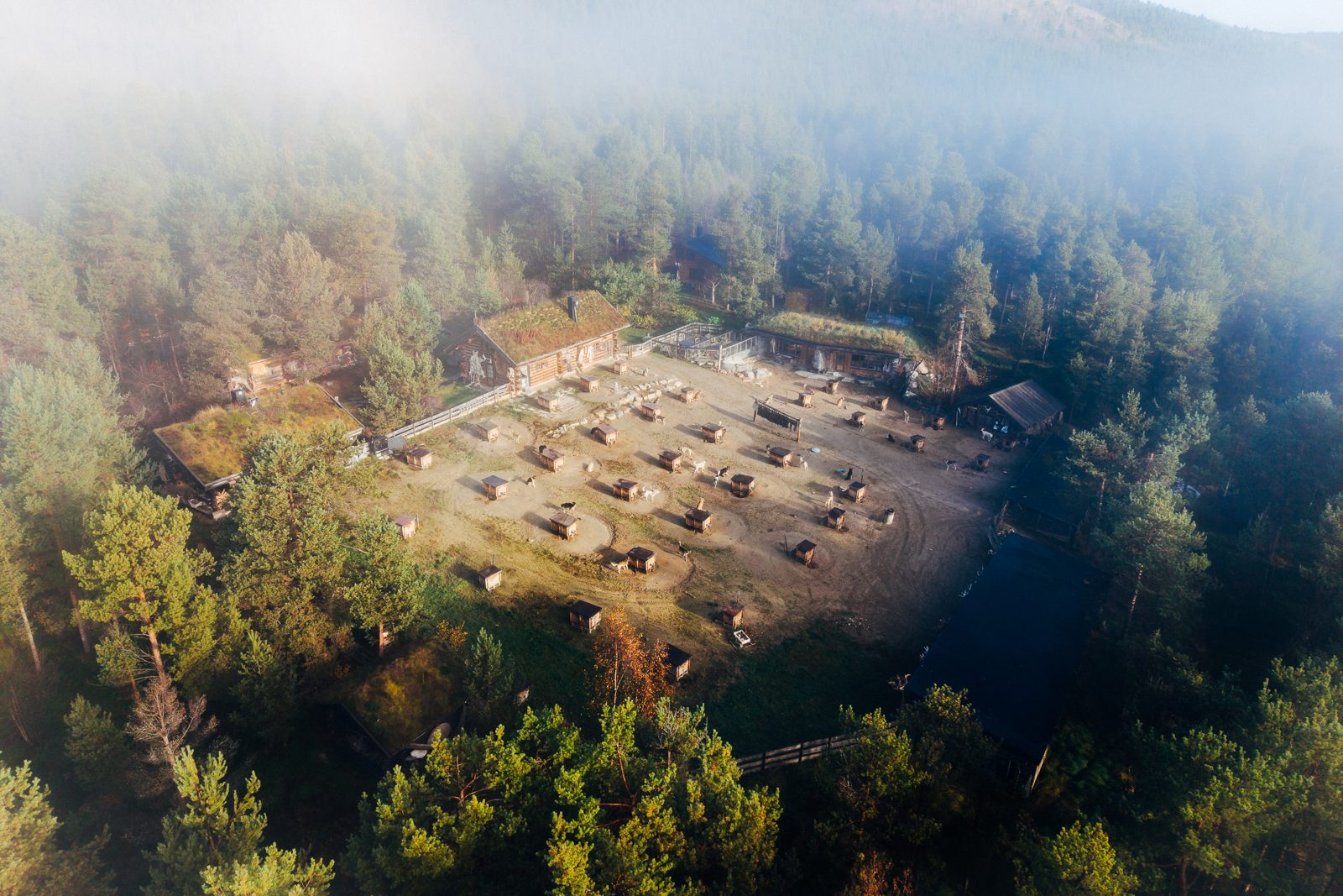 Engholm Lodge seen from above in morning mist — turf-roofed buildings and the dog yard in a clearing among the pines