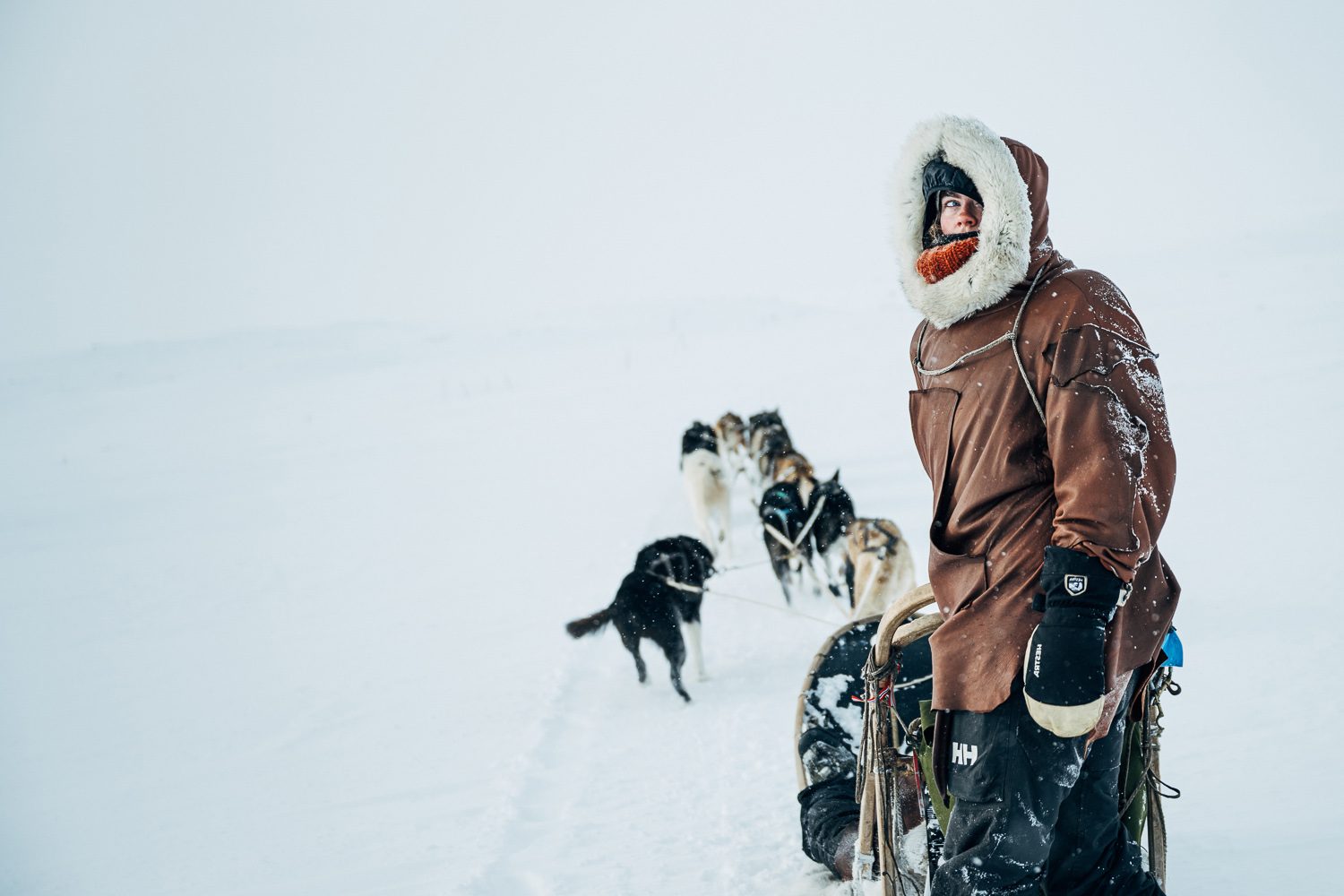 A musher standing at the sled, the dog team strung out ahead across the open plateau