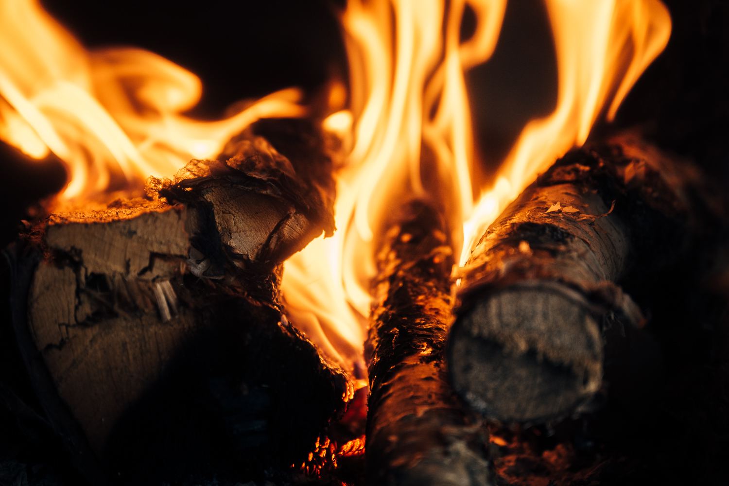 Birch logs burning inside the hanging stove