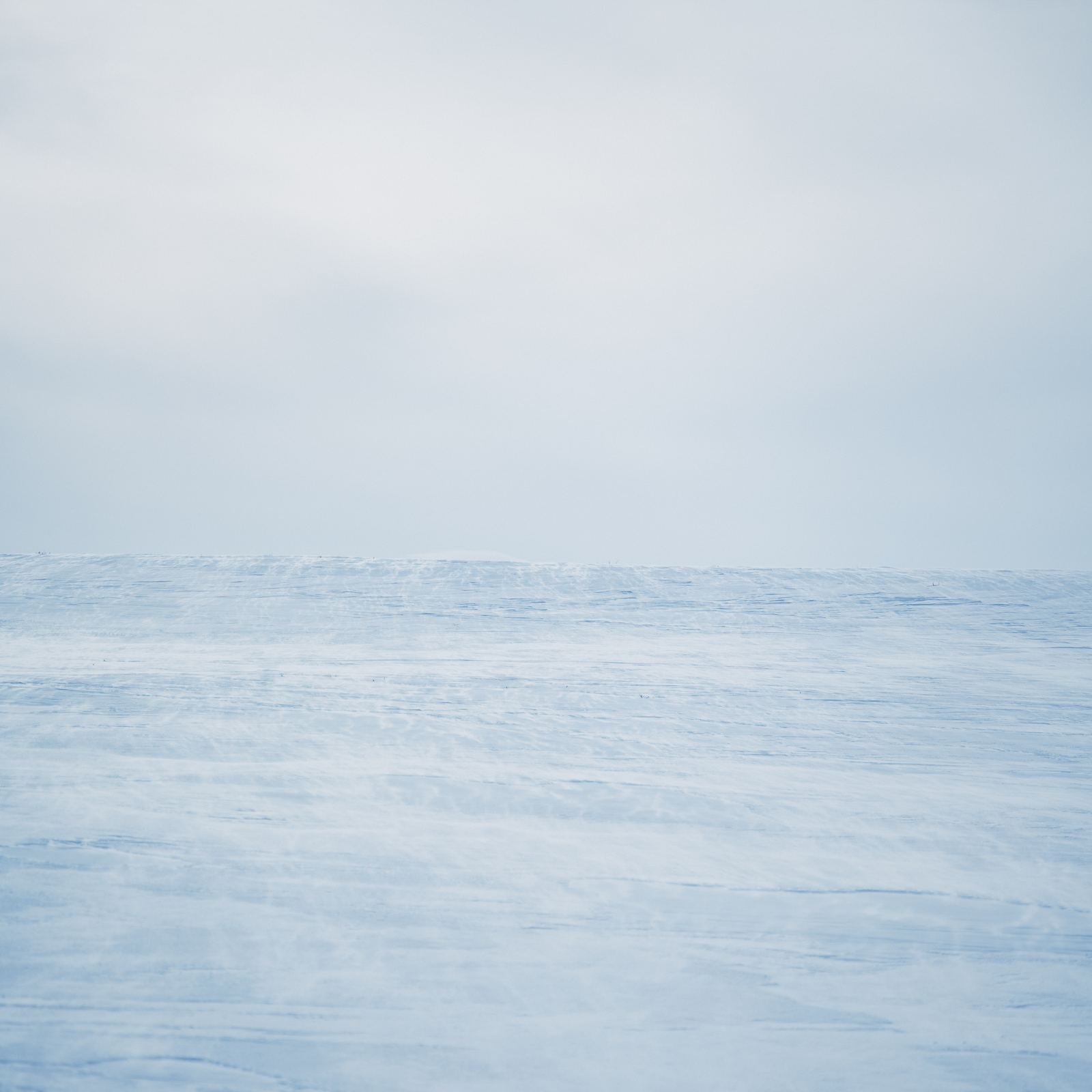 Sea ice light
