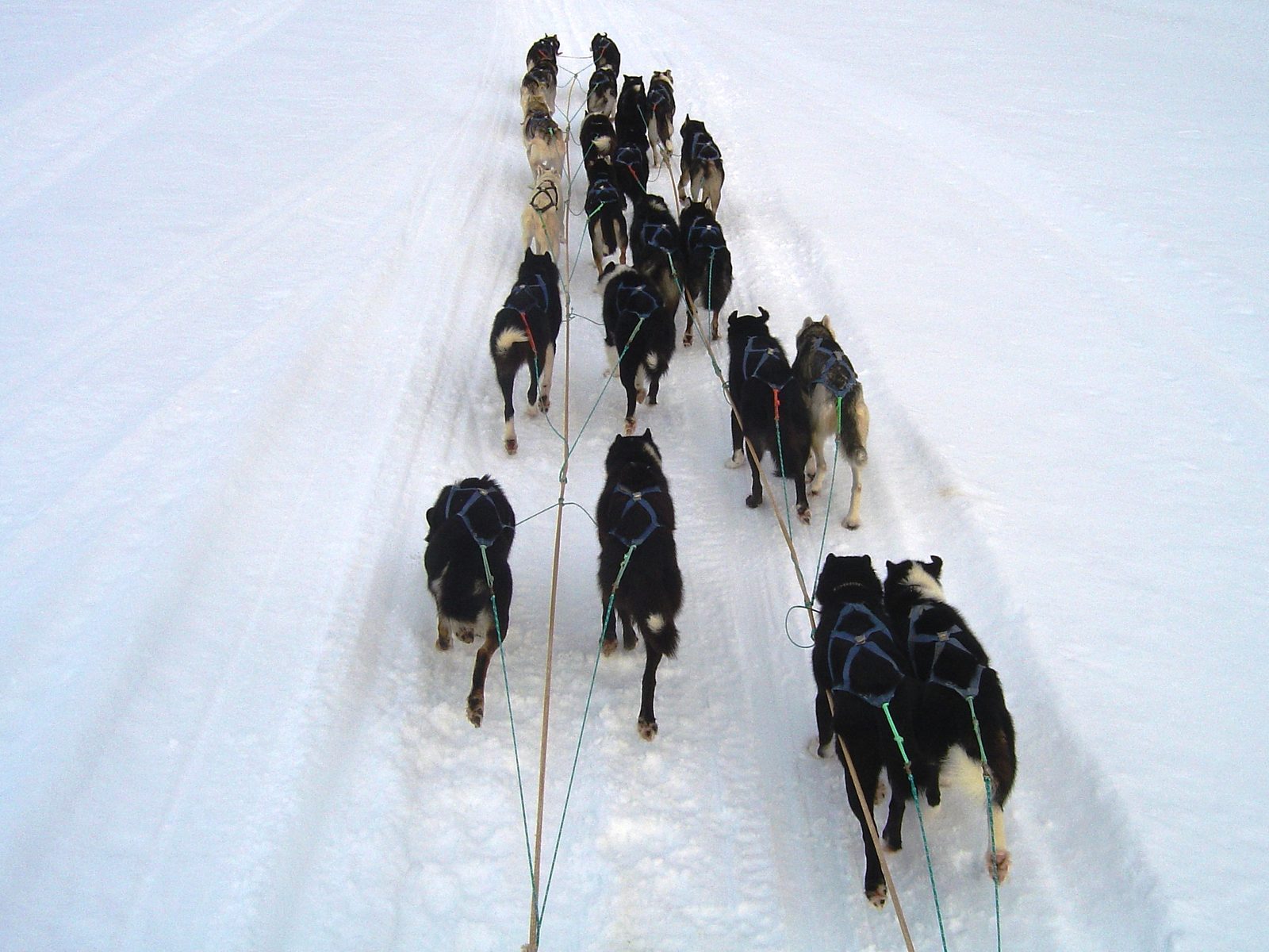 On the trail