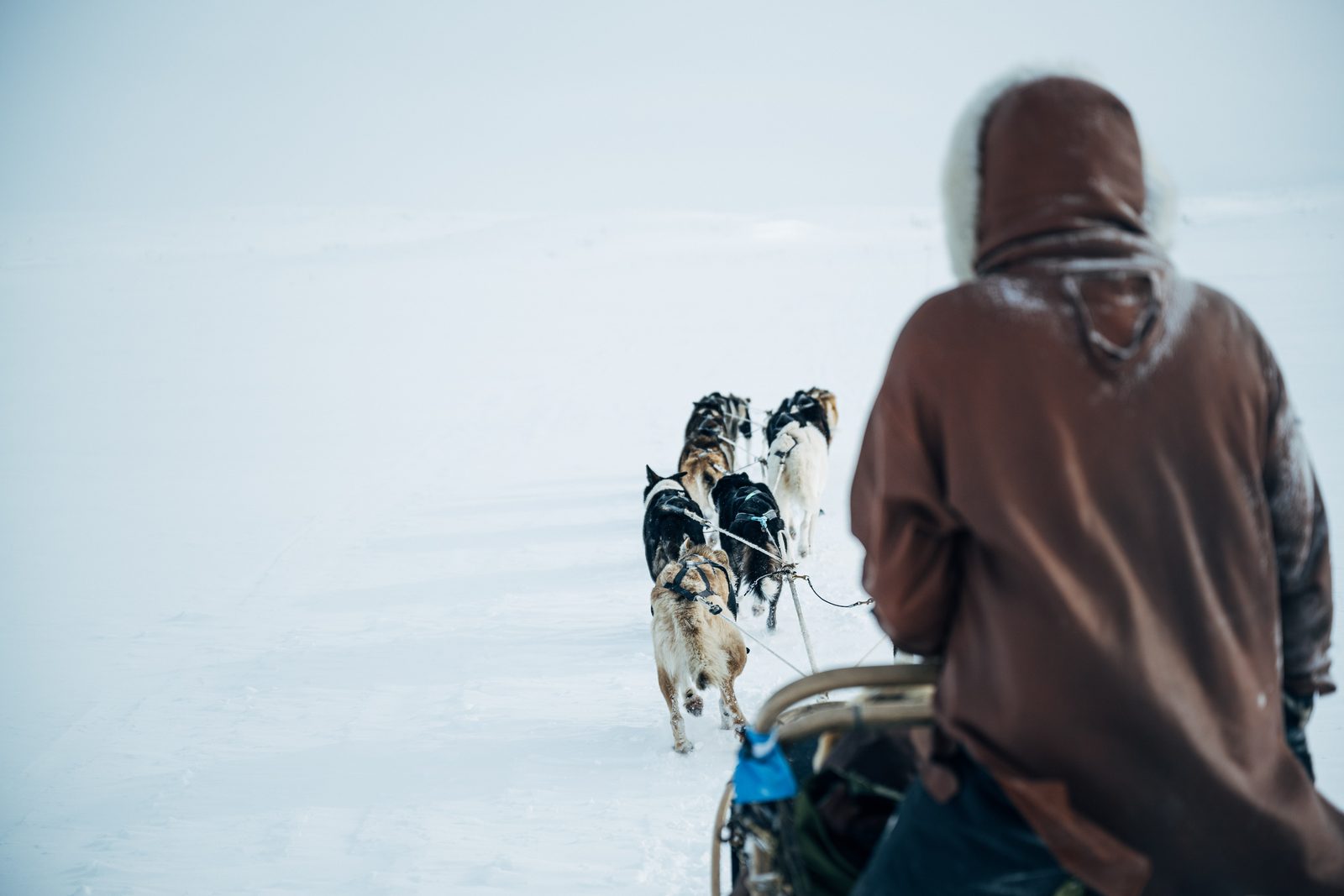 Your own sled