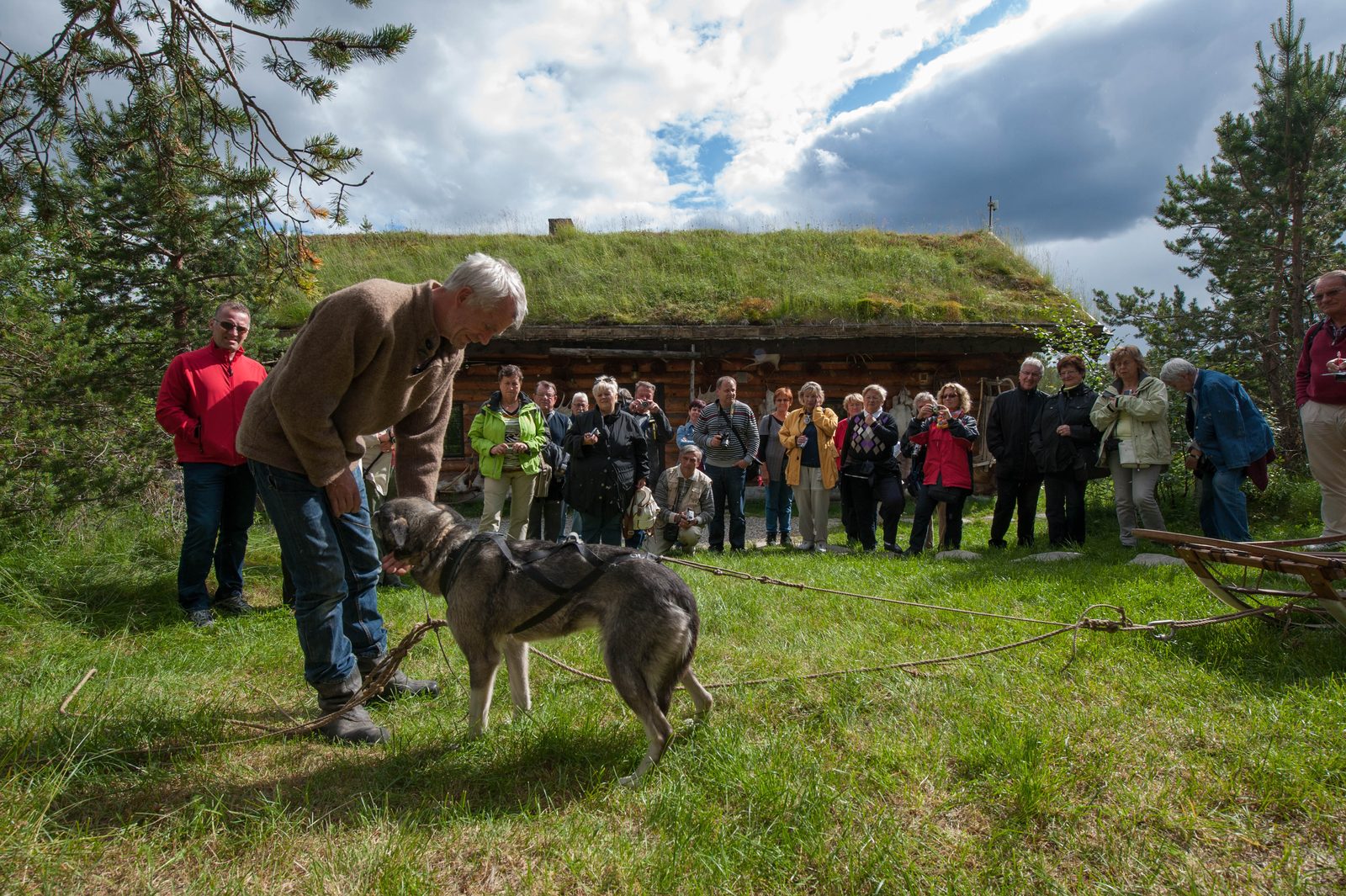 Sven introduces the dogs