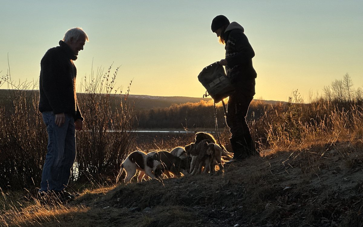 Husky Farm Visit — Meeting the dogs