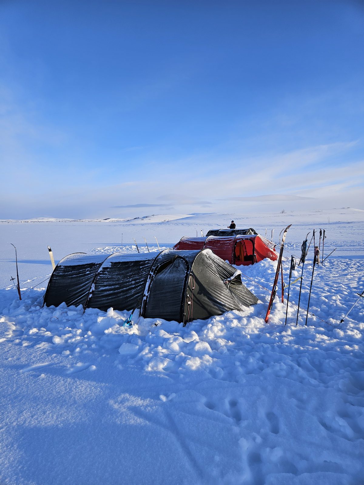 Camp at first light