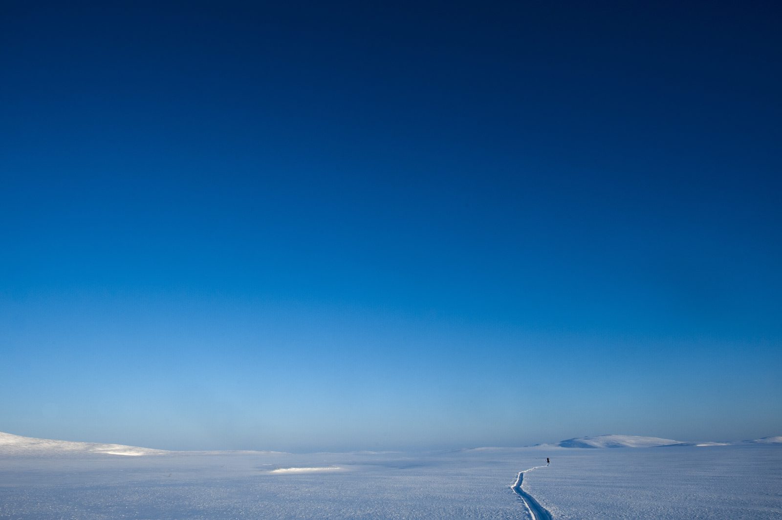 Blue sky, fresh track
