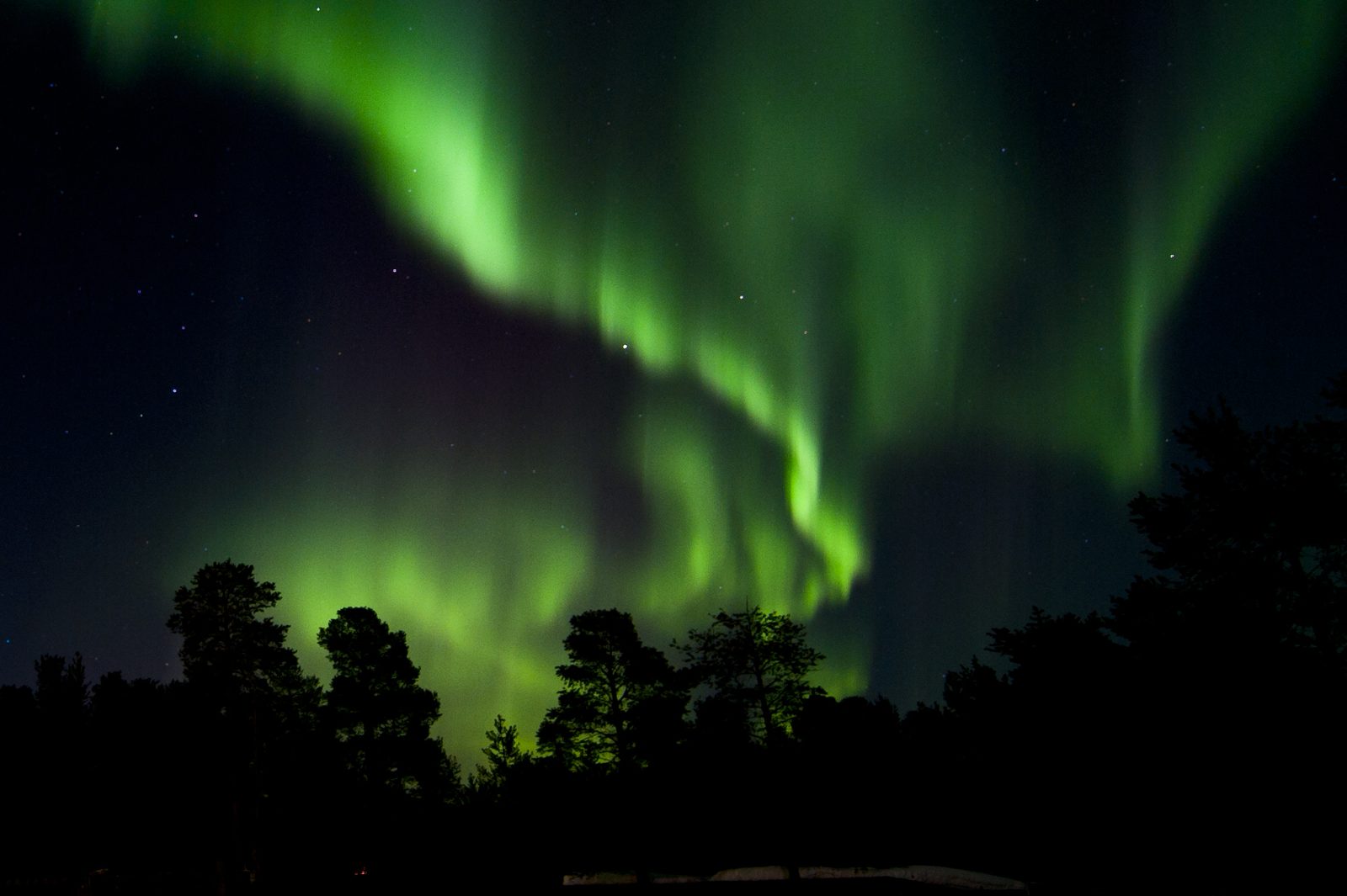 The lights over the forest
