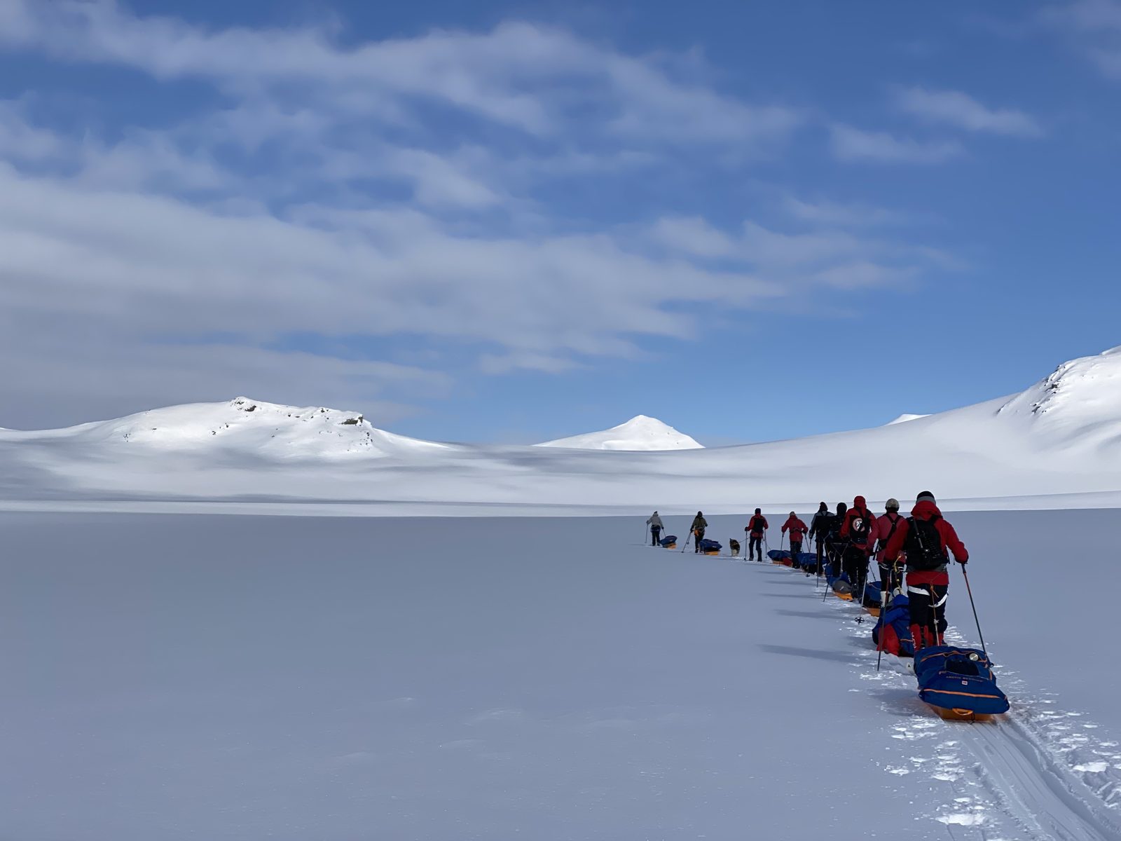 Pulks on the glacier