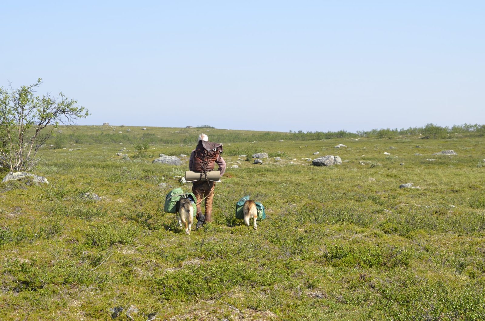 Onto the barren plateau