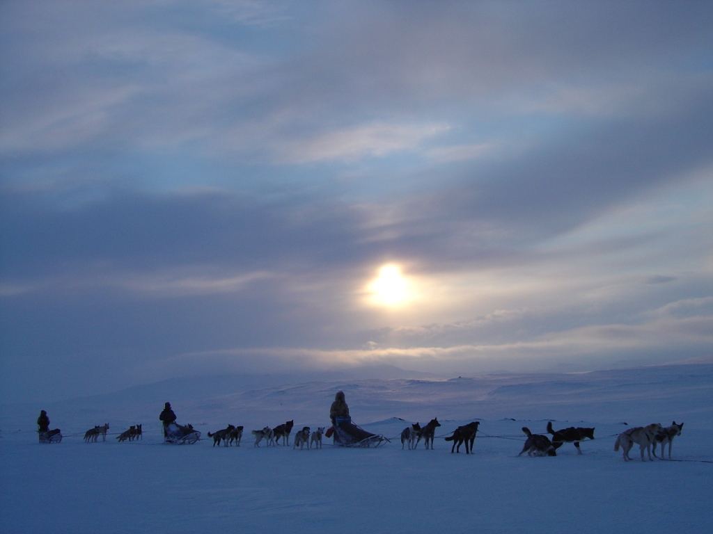 Across the winter pastures