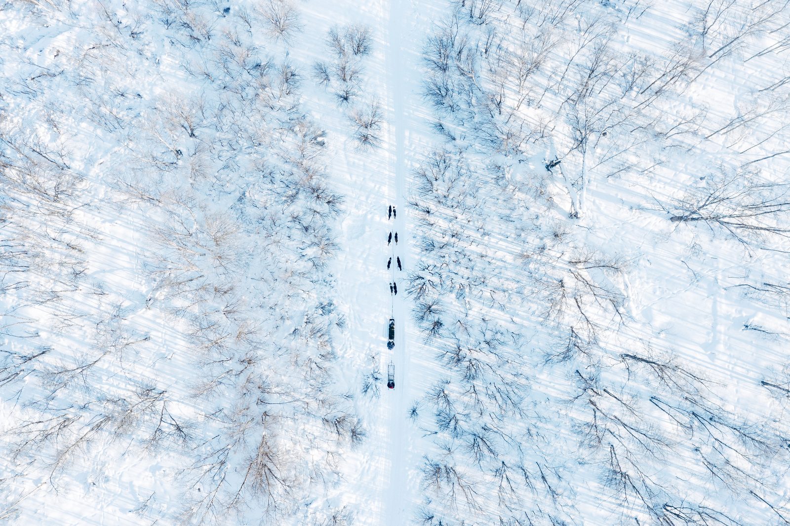 The trail from above