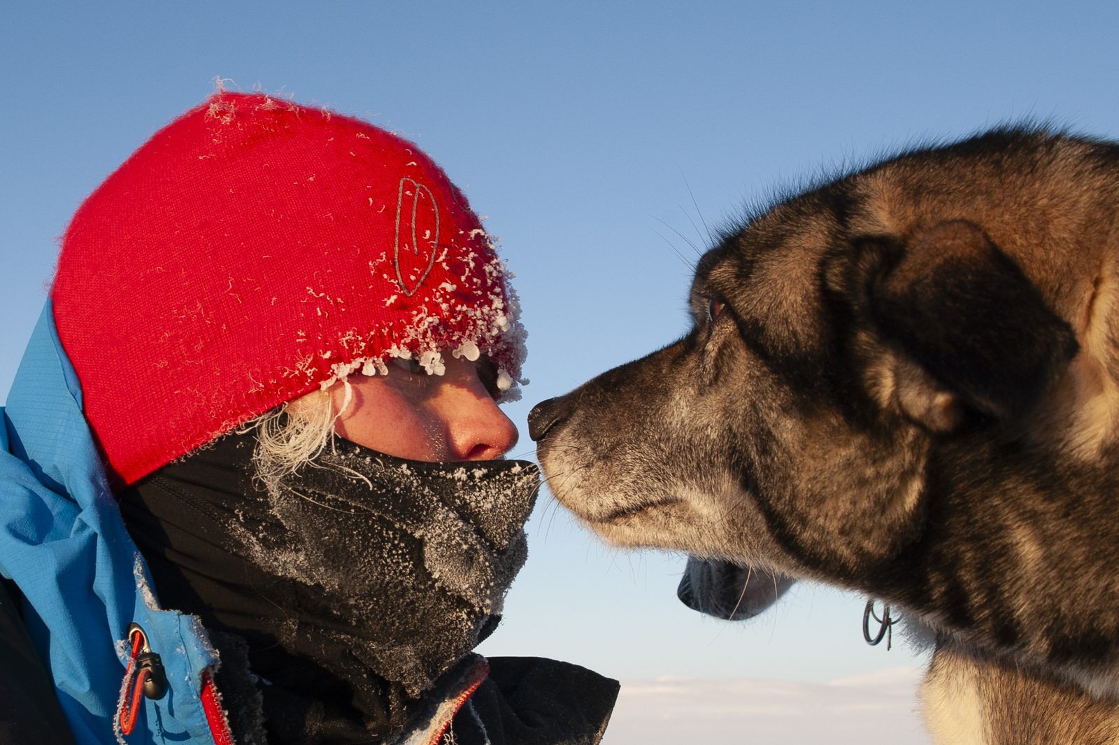 Nose to nose