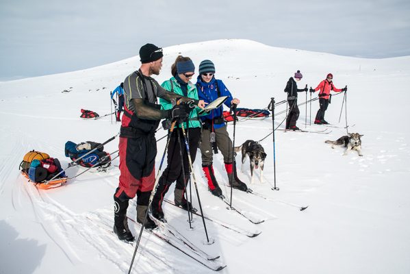 Skiers and dogs, side by side