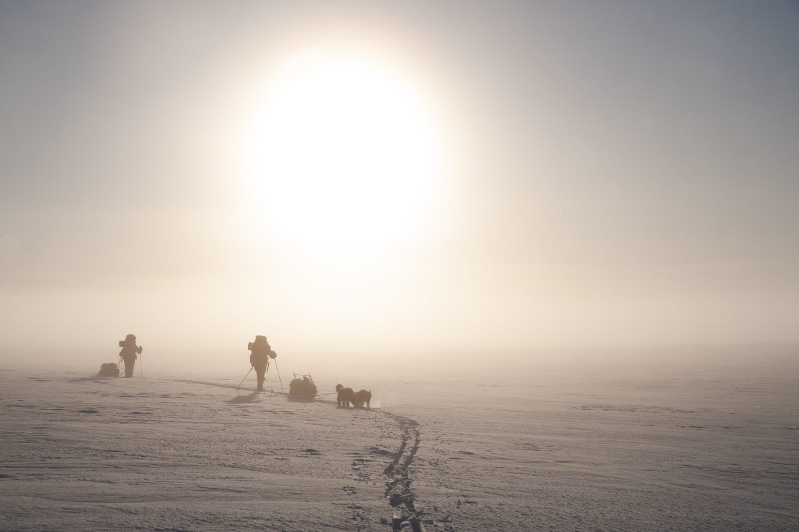 Into the low sun