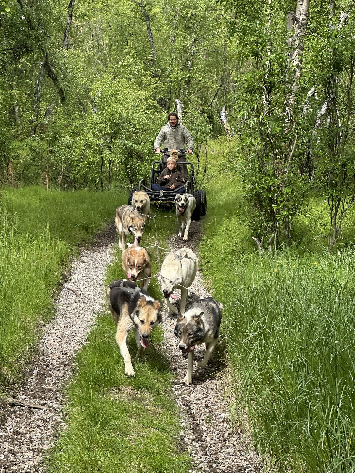 Training on the forest track