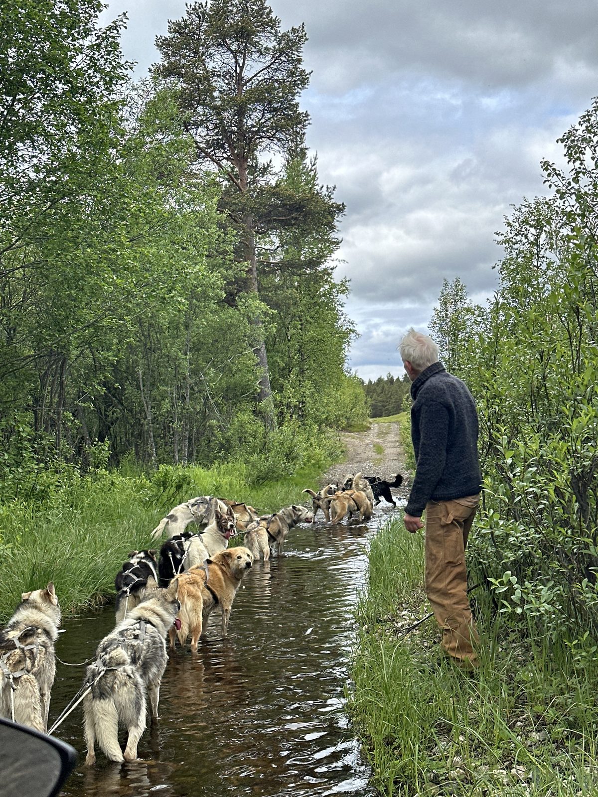River training