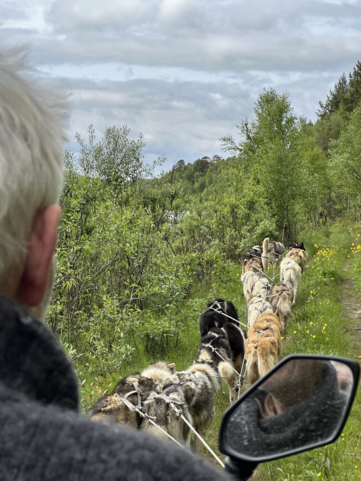 From the driver's seat