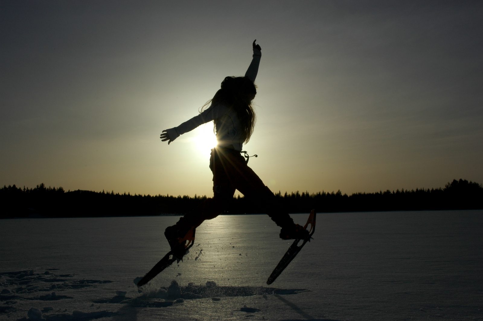 Snowshoes in the low sun