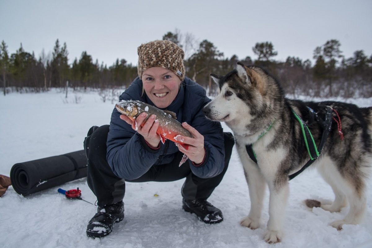Arctic char on the ice