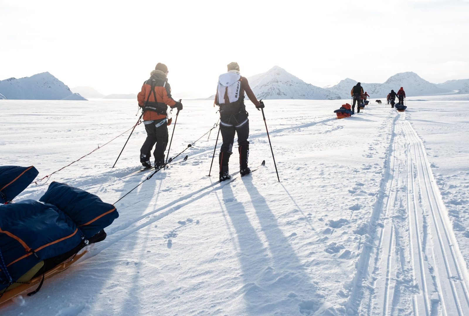 Bright polar day