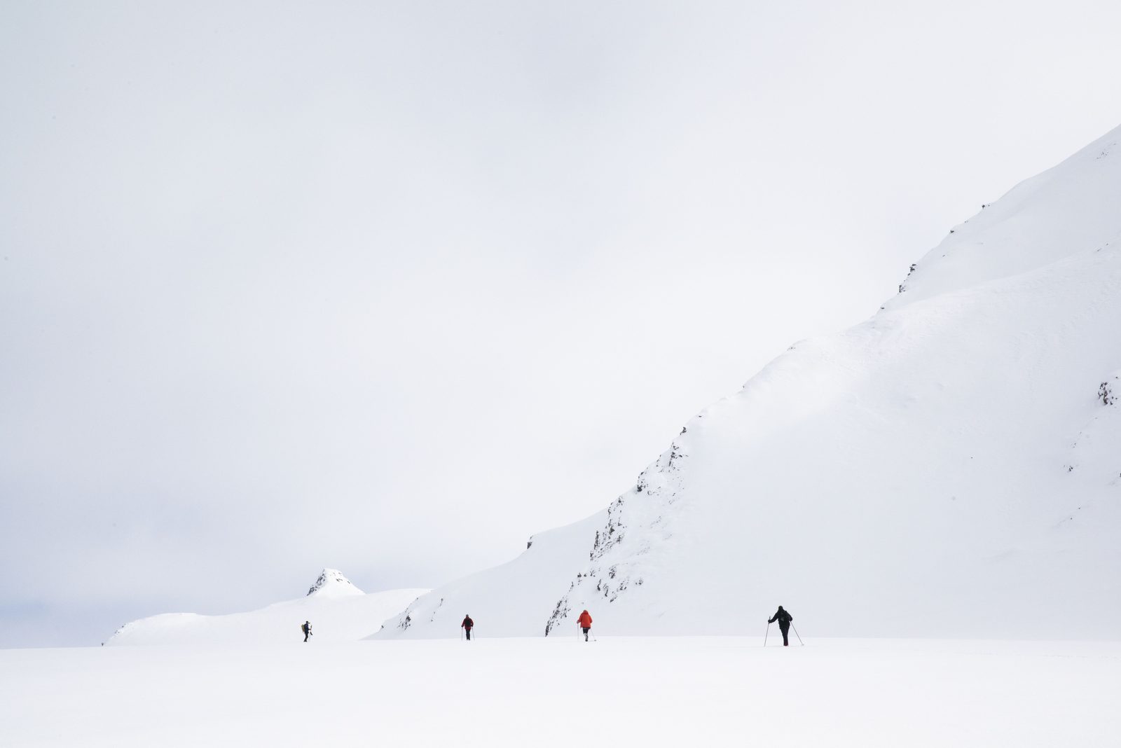 Into the white