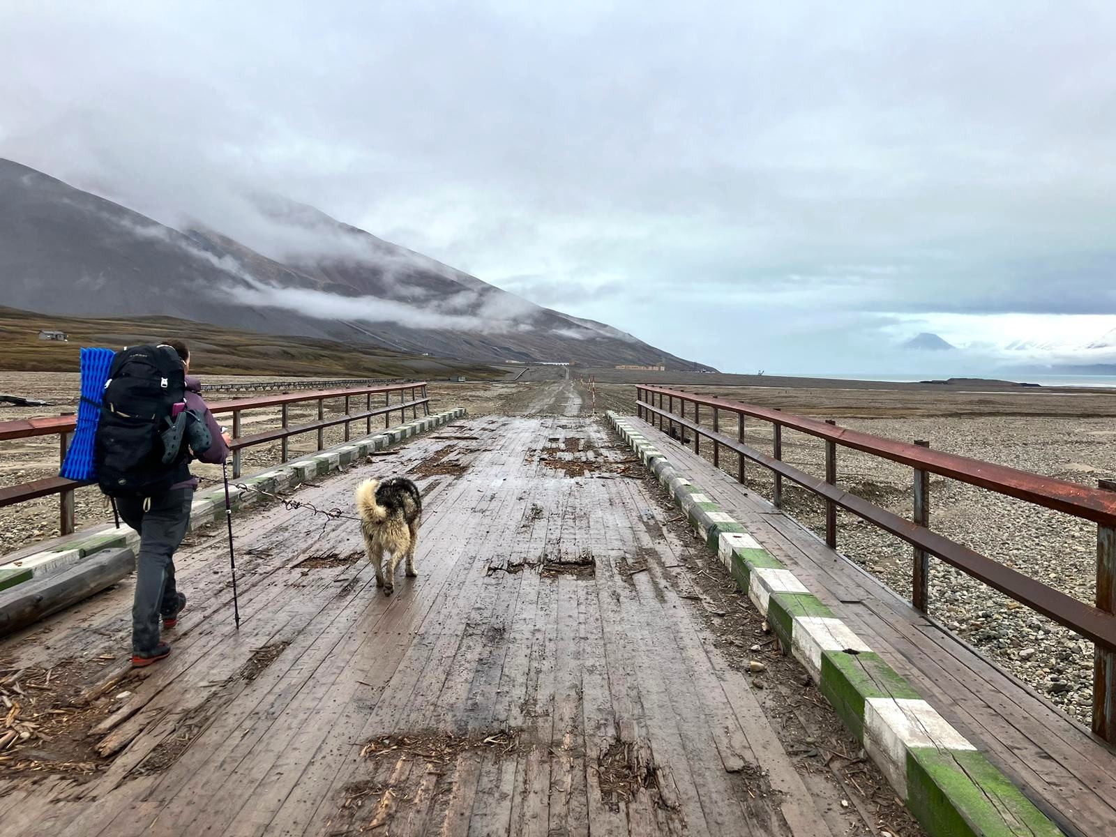 Towards the ghost town