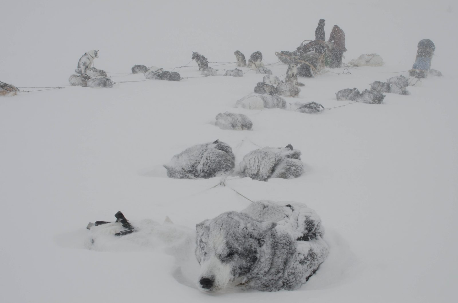 Snowed in