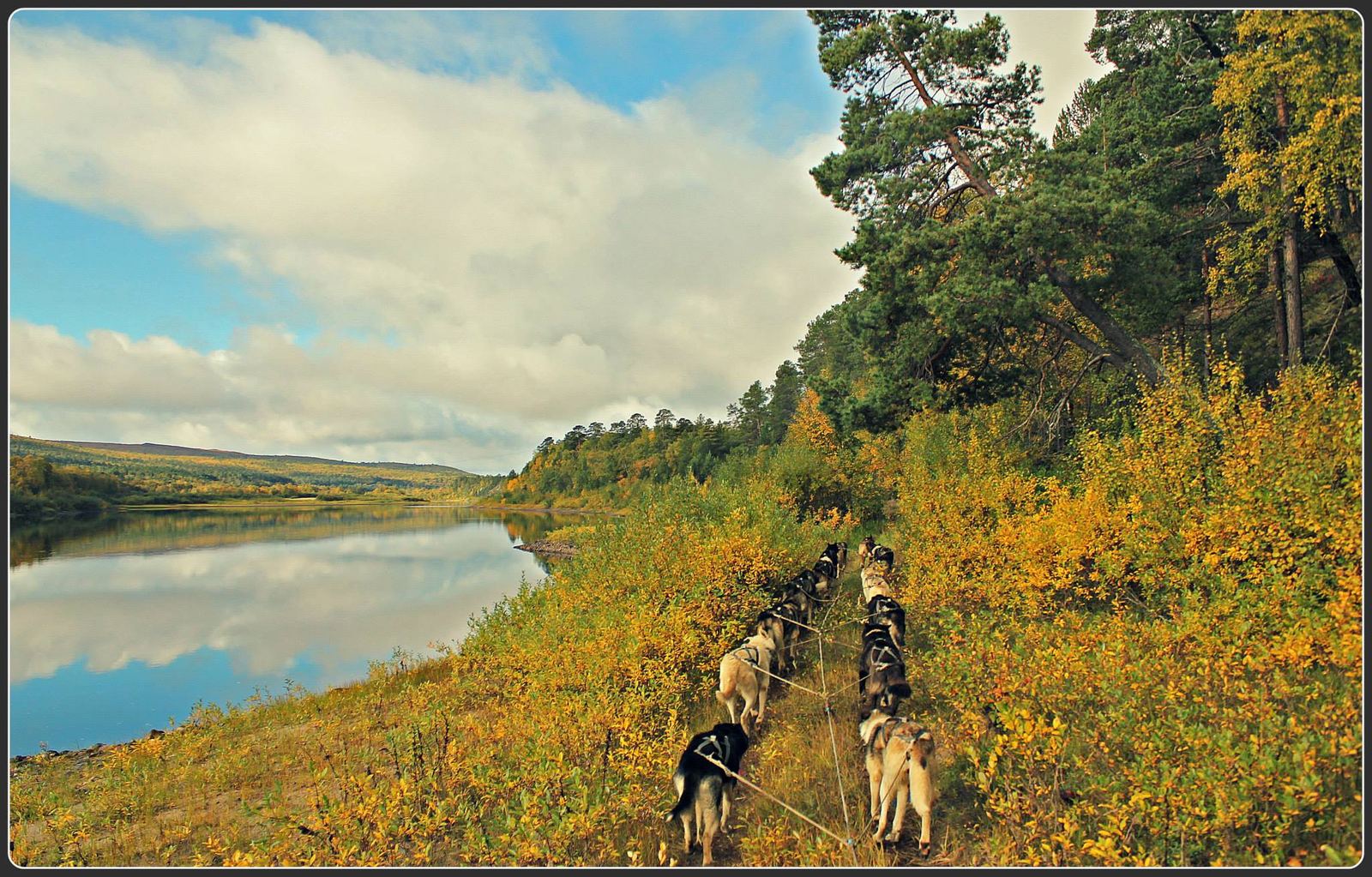 Autumn training run
