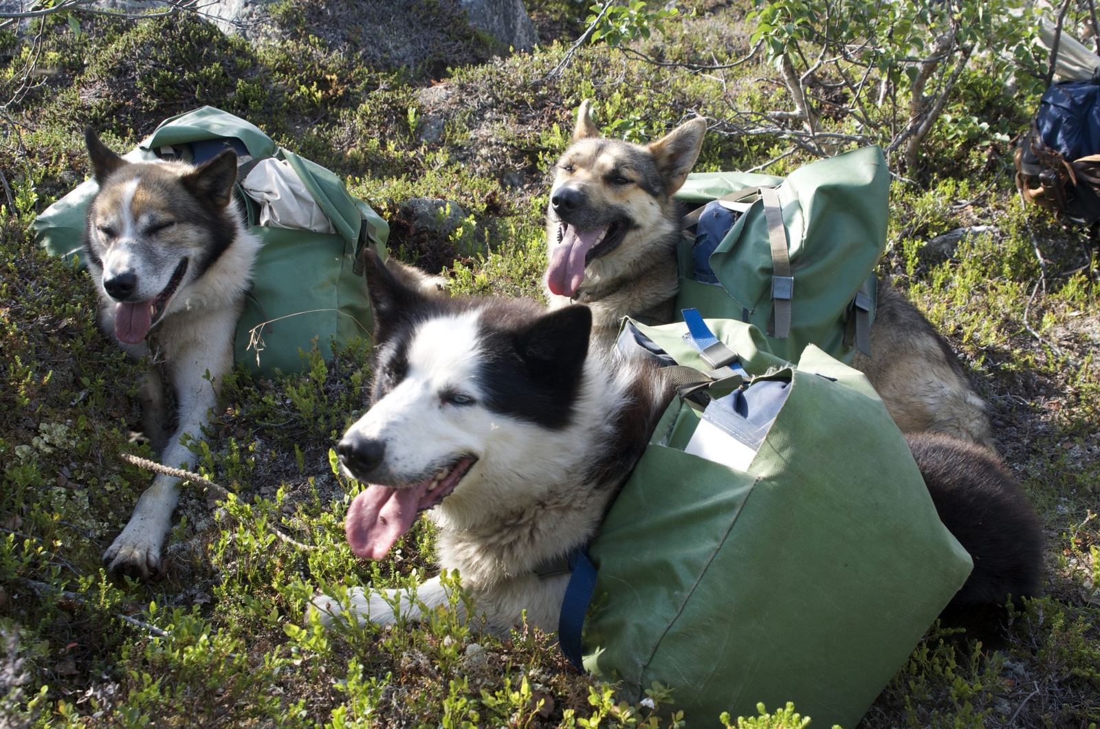 Packed and ready