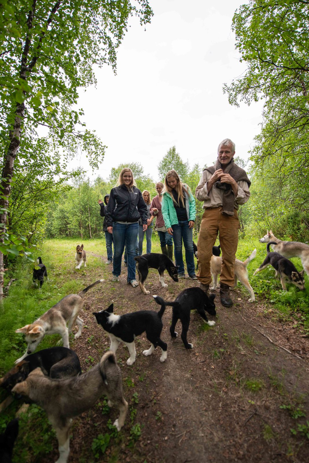 Out with the dogs