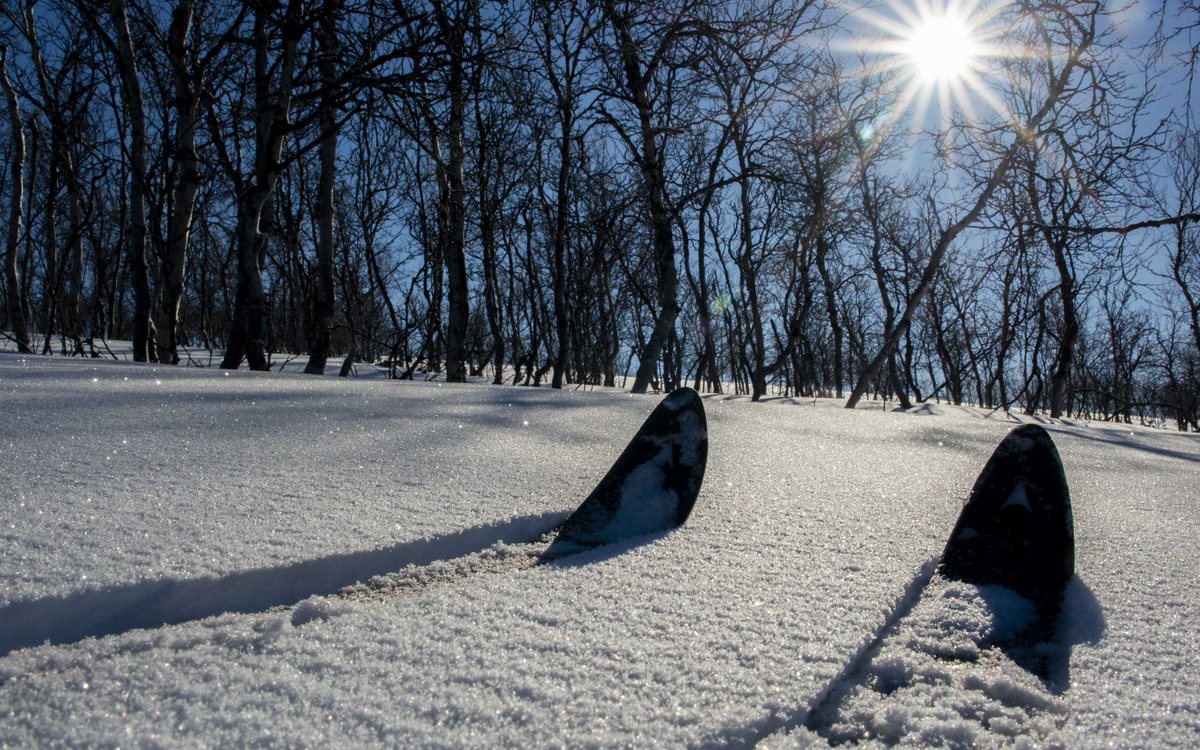 Cross-Country Skiing Day — A track across the vidda