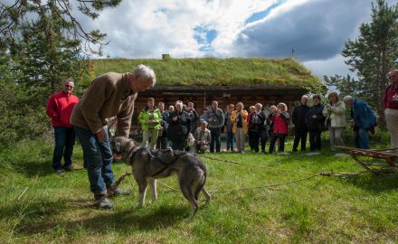 Visit Engholm Husky farm