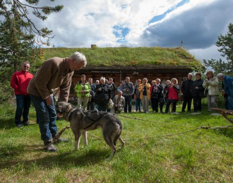 Visit Engholm Husky farm