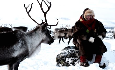 Visit Sami reindeer herder